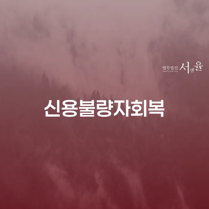 개인회생변제금 추심 대응법 결정이나고