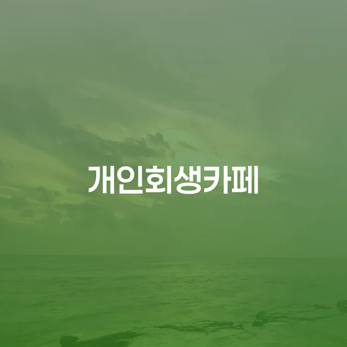 개인파산신청 개인회생 문제해결방법 신청했을 경우
