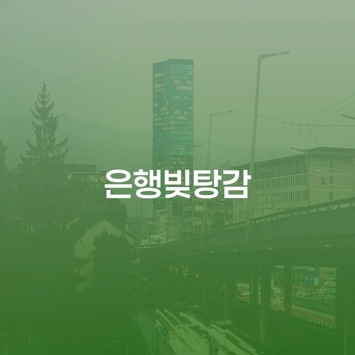 개인회생전문 추심 대응법 결정이나고