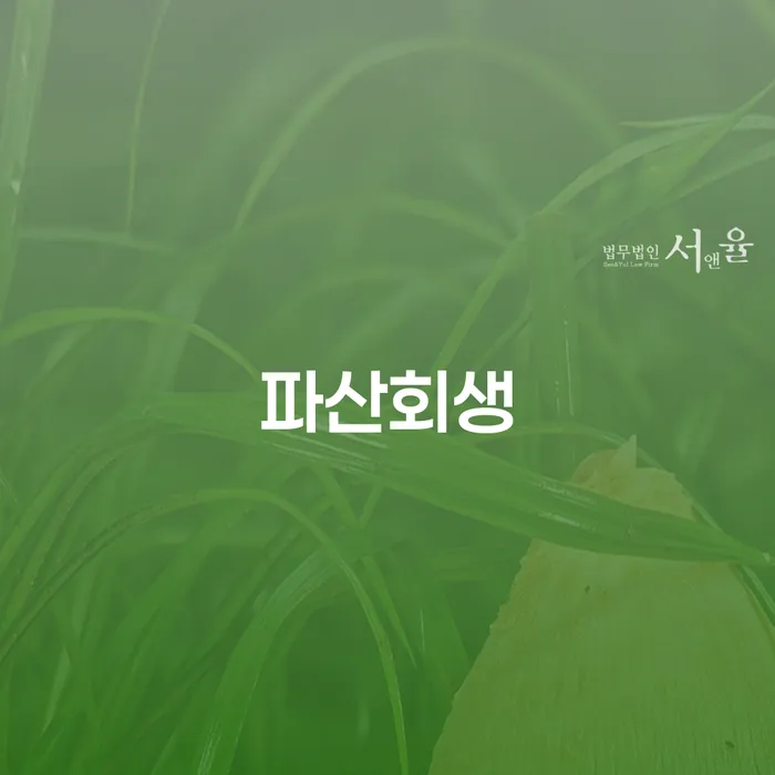 파산 채무 효과적인 해결방법 있는지확인
