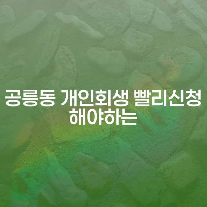 공릉동 개인회생 빨리신청해야하는