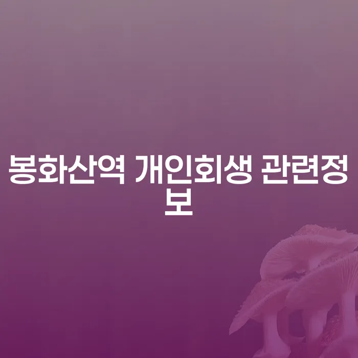 봉화산역 개인회생 관련정보