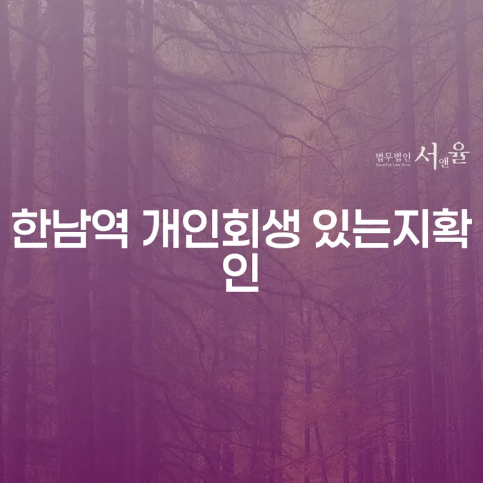 한남역 개인회생 있는지확인