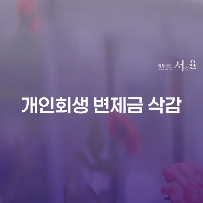 개인회생 변제금 삭감, 희망의 빛을 찾을 수 있을까요?