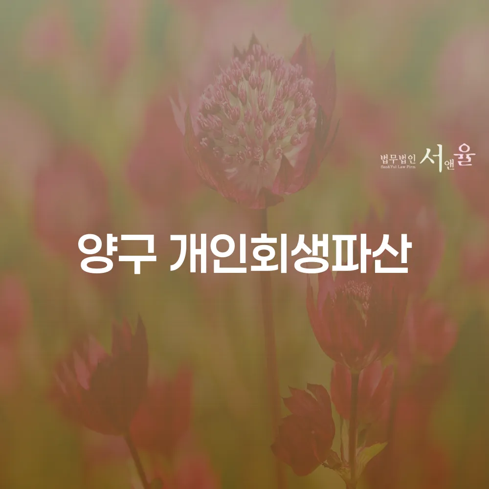 양구 개인회생과 파산 제도를 통한 재정 회복