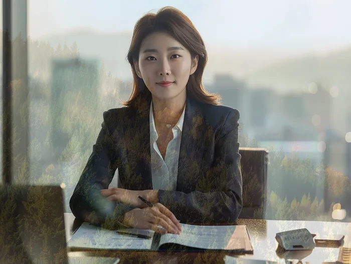 강서구 법률 사무소