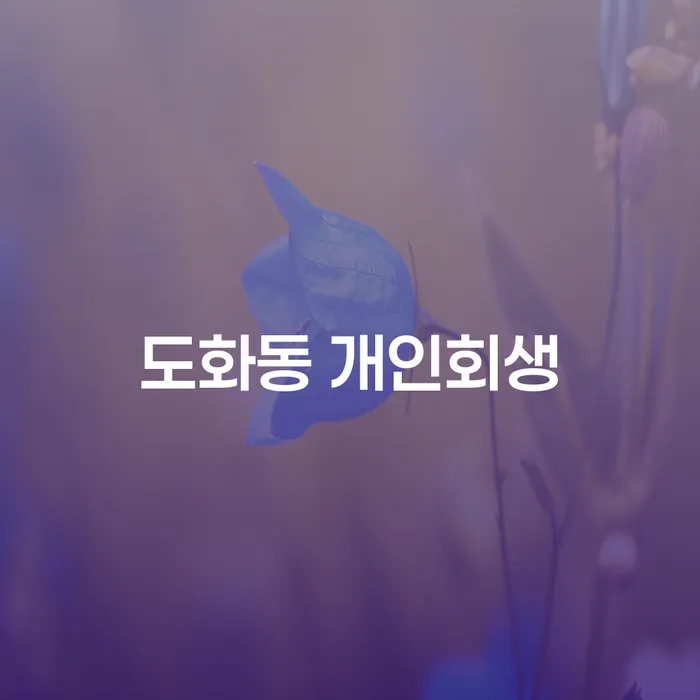 도화동 개인회생, 어떻게 준비해야 할까요?