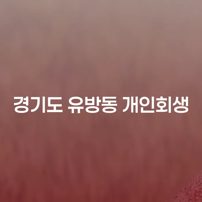 경기도 유방동 개인회생 신청, 어떻게 시작해야 할까요?