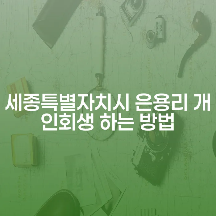 세종특별자치시 은용리에서 개인회생을 통해 경제적 재기를 시작하는 방법은?