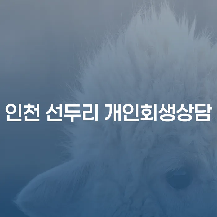 인천 선두리에서 개인회생상담을 받아야 할까?