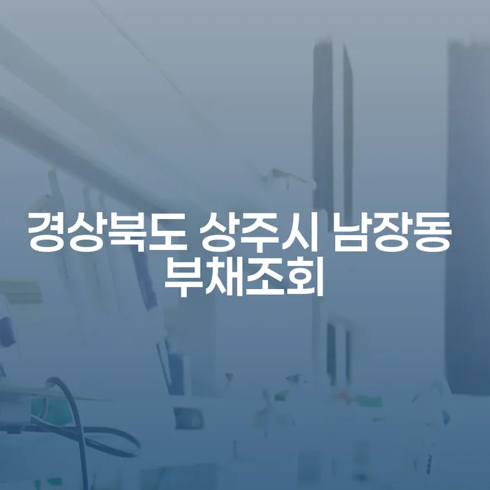 경상북도 상주시 남장동 부채조회, 변제는 어떻게 해야 할까요?